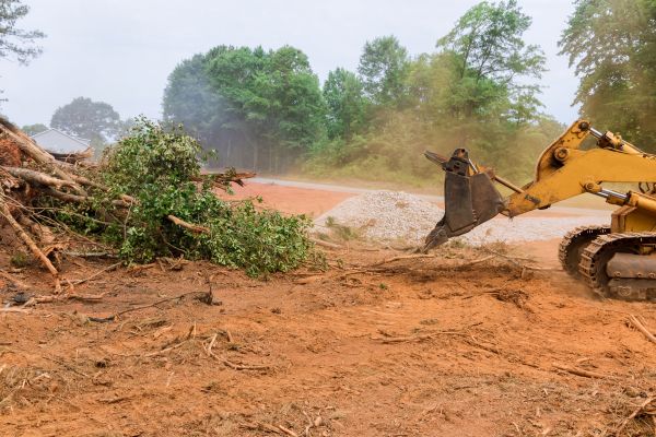 Ground Clearing in Fishers