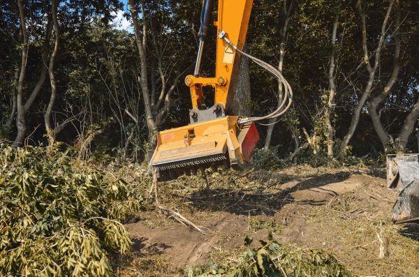 Brush Removal Service in Fishers