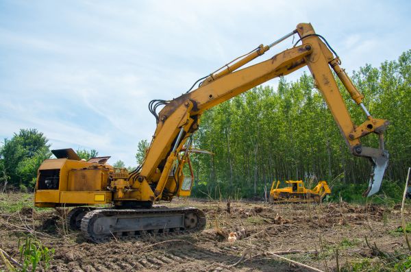 Farm Clearing in Fishers