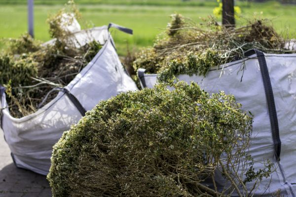 Cost of Bushes Clearing in Fishers
