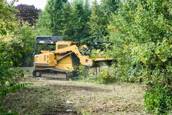 Pathway Clearing in Fishers