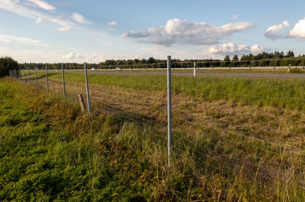 Property Line Clearing in Fishers