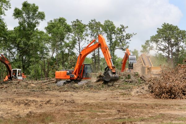 Commercial Lot Clearing in Fishers